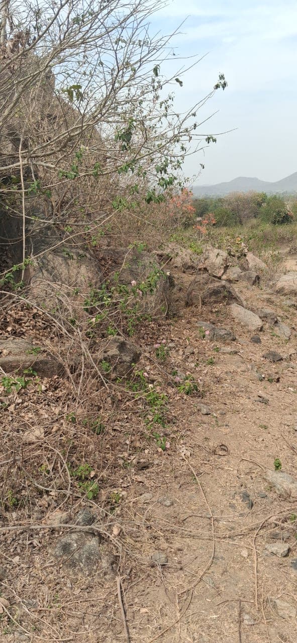 Mining site landscape